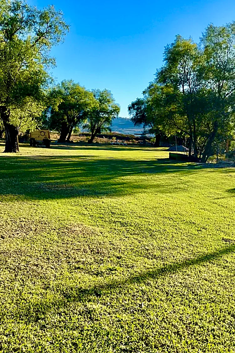 Jardines y árboles altos en Rancho El Aguacero