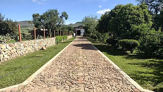 Camino de piedra entre jardines
