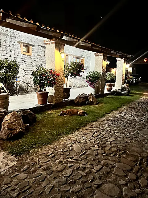 Camino de piedra de noche